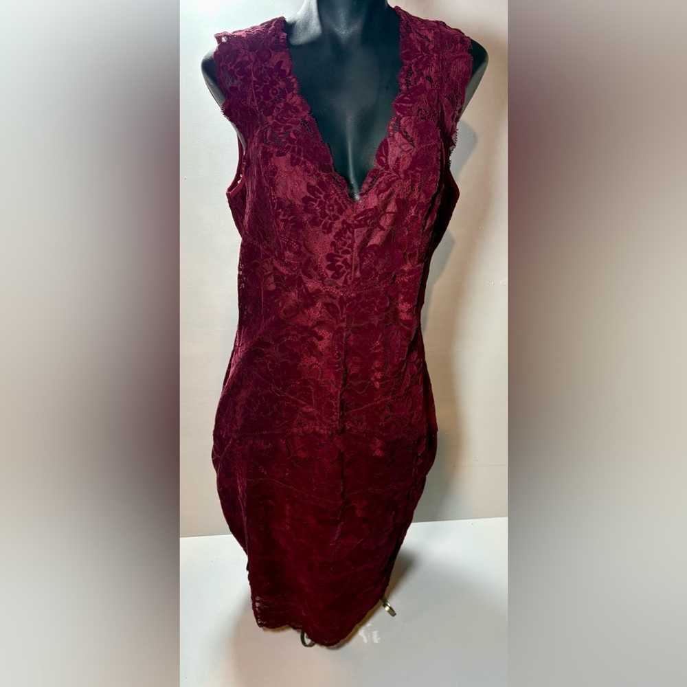Guess Burgundy - Red Lace and Velvet Dress - Picture 2 of 9